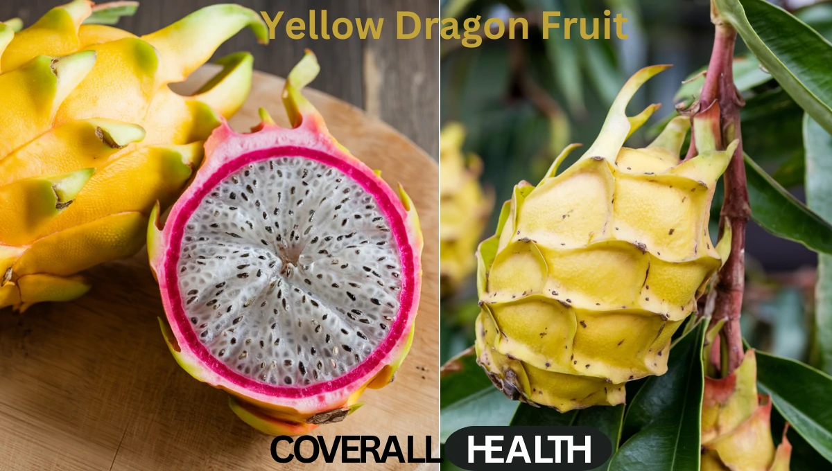 Yellow Dragon Fruit